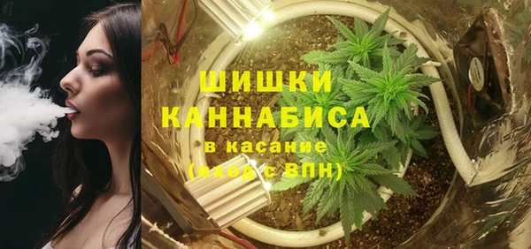 индика Арсеньев
