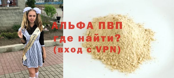 индика Арсеньев