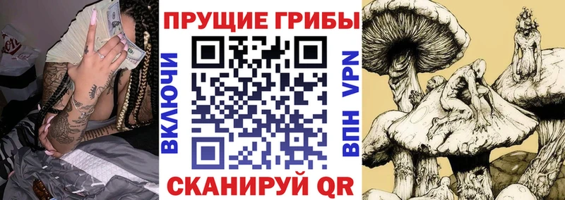 Псилоцибиновые грибы Magic Shrooms  Красноуфимск 